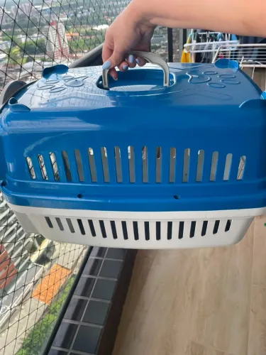 Caixa De Transporte Para Cães Gatos Mais Dog Filhote Cor Azul