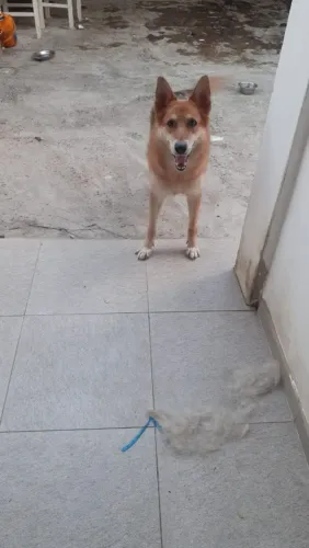 Doação Fêmea!!!