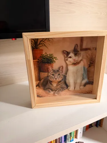 Quadro com efeito 3d