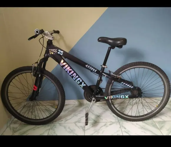 Bicicleta VikingX Wanner