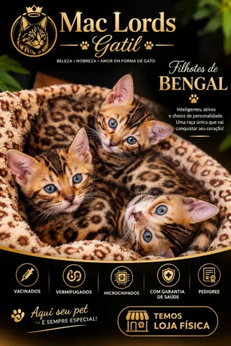 Bengal