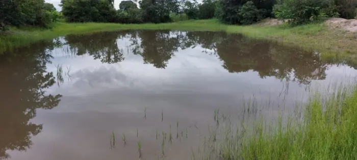 Fazenda a venda em Britânia - Goiás