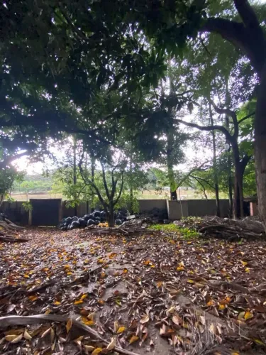 Terreno à venda, 2327,88 m² por R$ 1.100.000,00 - Garças - Belo Horizonte/MG