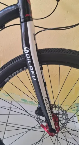 MTB garfo qilefu carbono aro 29