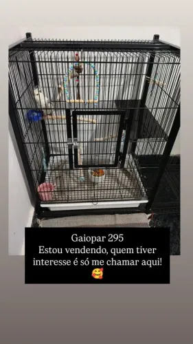 Gaiola gaiopar 295