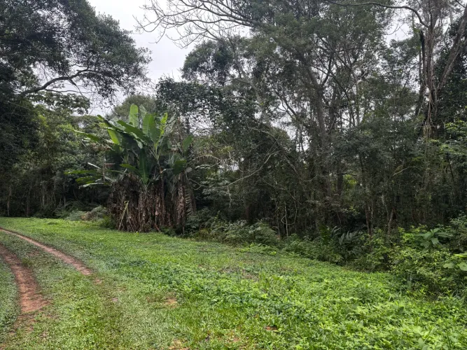 VENDO TERRENO EM SÃO LOURENÇO DA SERRA