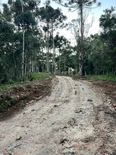 Oportunidade em Campo Alegre