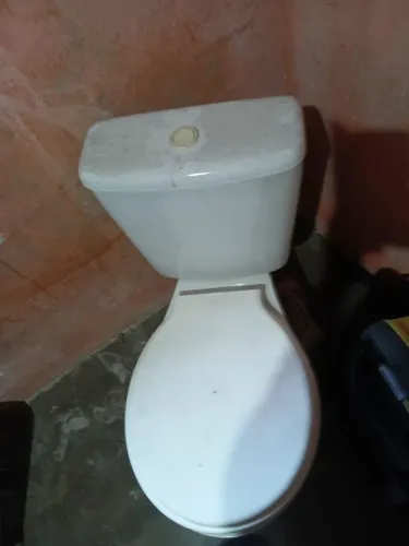 Um vaso Solitário na privada