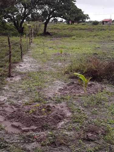 Vendo o terreno todo o lotes
