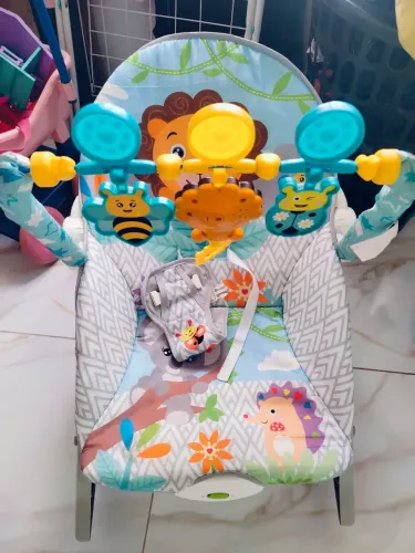 Cadeirinha de bebê