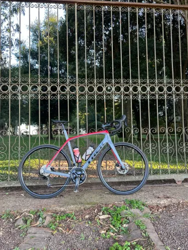 TREK DOMANE SL4