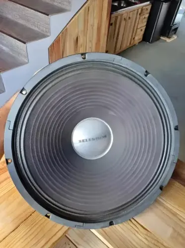 Alto Falante 15 Polegadas Jbl Selenium 150W