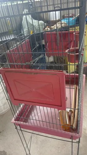 Preciso vender essa gaiola 150 reais 
