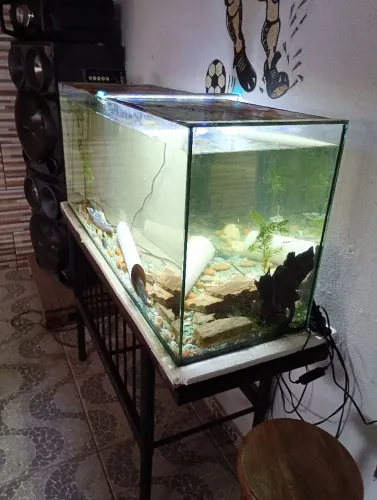 Aquário grande