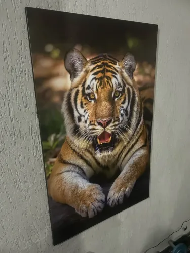 Quadro Tigre