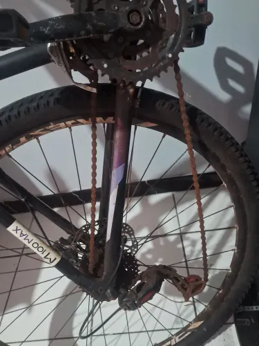 Bicicleta trinx
