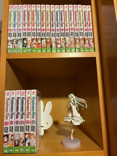 Kamisama hajimemashita (inglês) faltando somente o volume 18