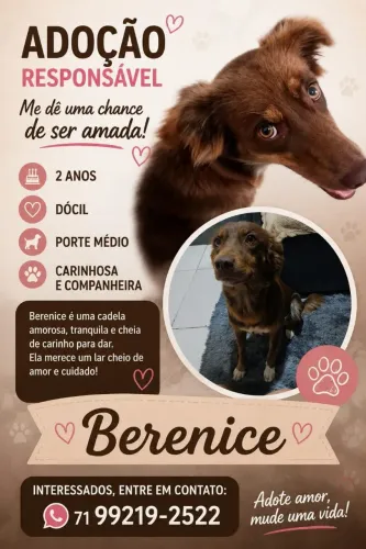 Adote Berenice