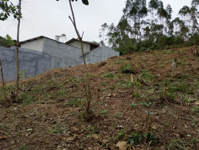 Vendo terreno 1000m2 ótima localização.