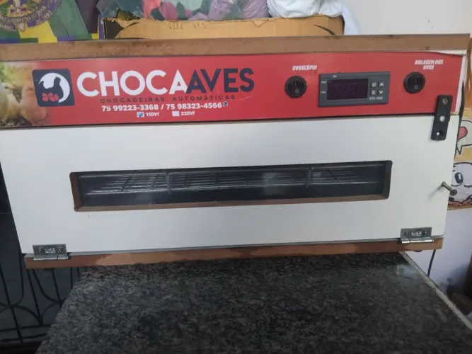 Chocadeira capacidade 60ovos