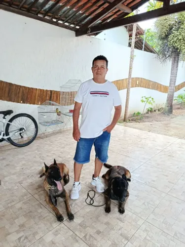 Adestramento de animais de estimação e aluguel de cães de guarda