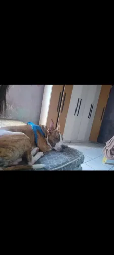 Doação