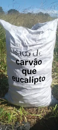 Carvão saco 22 kg