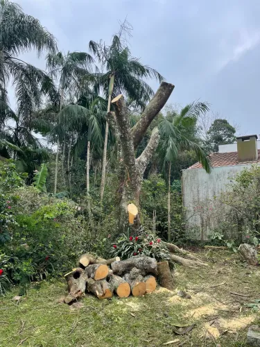 Poda de arvores, retirada de entulho serviços de roçadeira