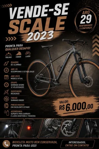 Bicicleta