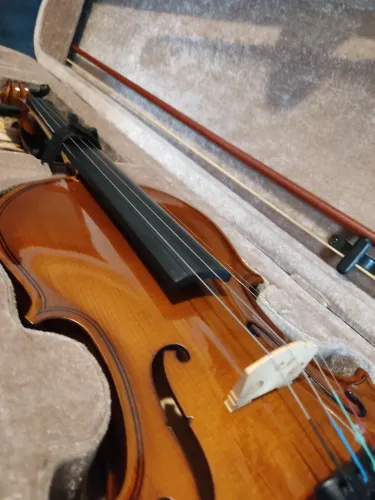 Violino Dominante para iniciantes