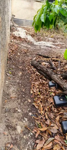 Terreno Ramos