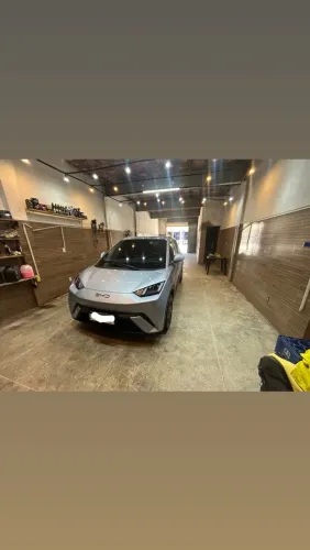 BYD Dolphin Mini (Elétrico) 2026