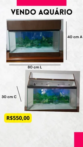 Aquario bem conservado 80l x 40 A x 30 c