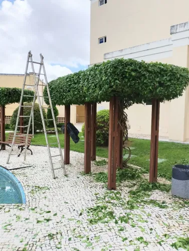 Jardineiro com experiência 