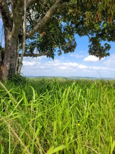 FAZEBNDINHA 24 TAREFAS  CONCEICAO DO JACUIPE (BERIMBAU) 500 mil
