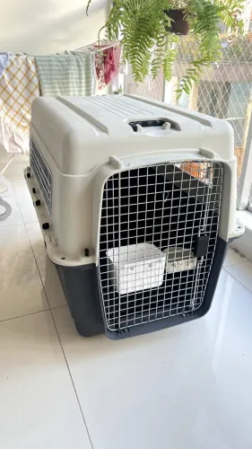 Caixa Transporte Cão IATA Grande Porte 100x68x75 cm