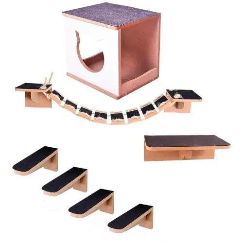 Playgraund gatos