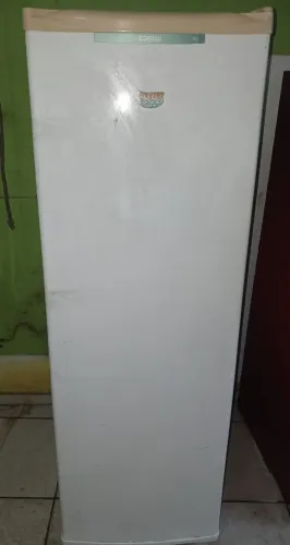 Freezer vertical