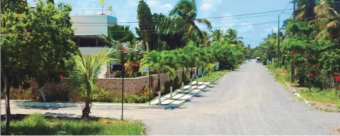 Terrenos em porto de Galinhas !