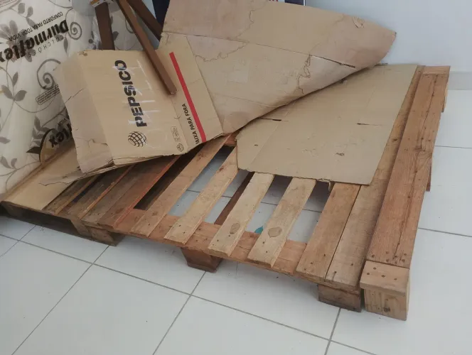 VENDO 4 palite 2 1x 1.20 e 2 50x 1.00 os 4 por 200.00