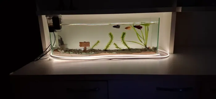 Aquario comprido 35l