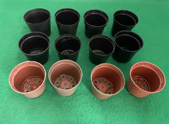 Vasos pequenos - 12 peças