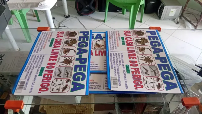 Pega insetos