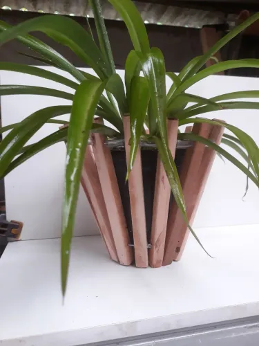 Lindo cachepô de mesa em madeira maciça 