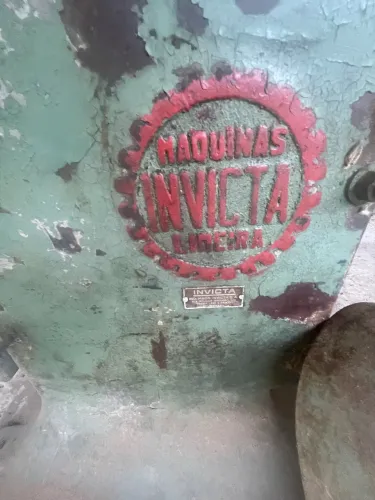 tupia invicta 