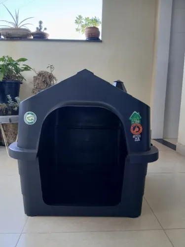 CASINHA DE CACHORRO 
