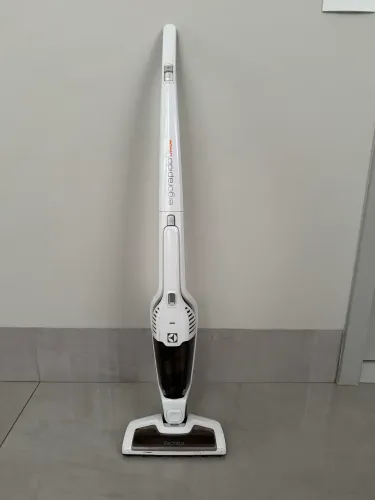Aspirador vertical Electrolux erg21