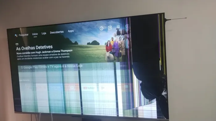 Tv TCL 65 polegadas tela quebrada