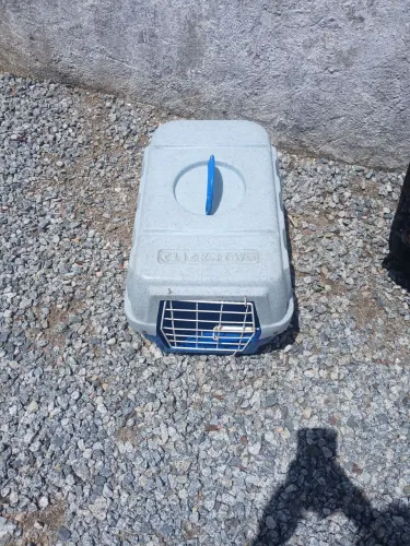 Caixa de transporte de pet 50reais