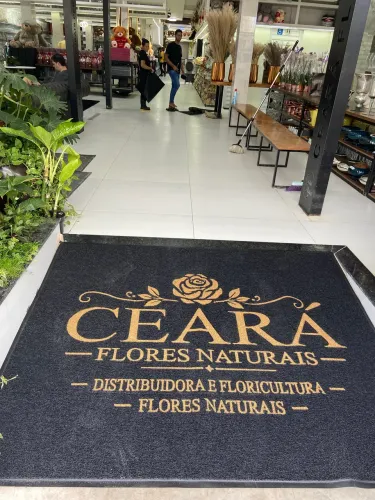 Tapetes personalizados